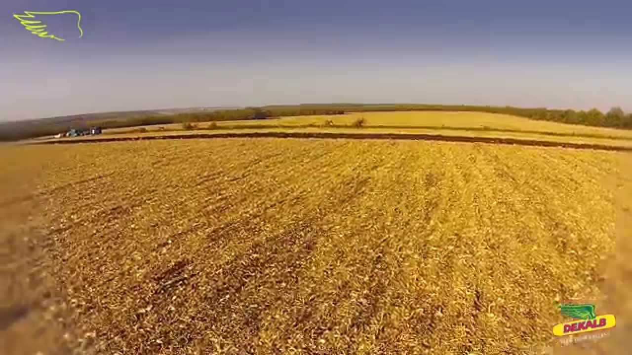 Лада рассвет ростовская область