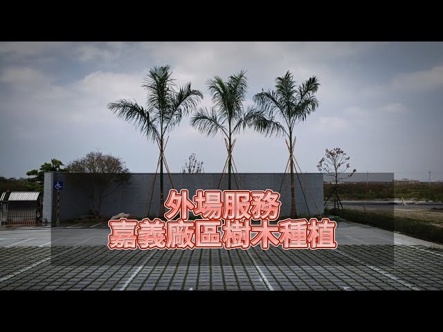 八風園藝 - 嘉義廠區樹木種植 八風園藝 - 嘉義廠區樹木種植