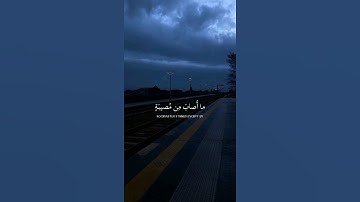 {مَا أَصَابَ مِنْ مُصِيبَةٍ إِلَّا بِإِذْنِ اللَّهِ }#رعد_الكردي #سورة_التغابن #قران_كريم