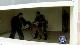 A current look inside the CCPD K9 Unit