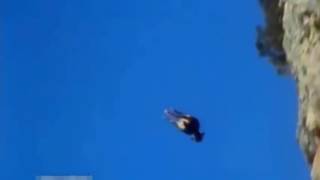 Eagle hunting Mountain Goat