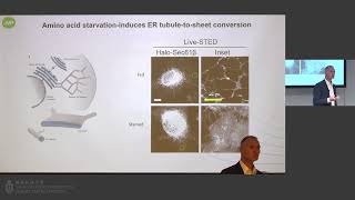 IAS Distinguished Lecture by Prof. Volker HAUCKE (Dec 5, 2023) IAS Distinguished Lecture by Prof. Volker HAUCKE (Dec 5, 2023)