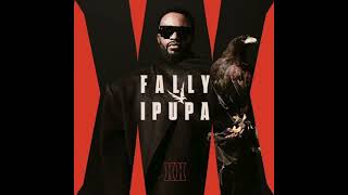 Fally Ipupa bonheur parfait (audio officiel)