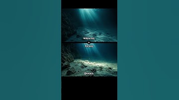 Image-to-Video with #Midjourney to #Runway Gen-3 | Experiment.015 - A sea of dancing light.