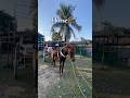 Cute horse 🐎❤️#cutehorse #horse #animals #youtubeshort #nature #trendingshorts #trendinghorsevideo
