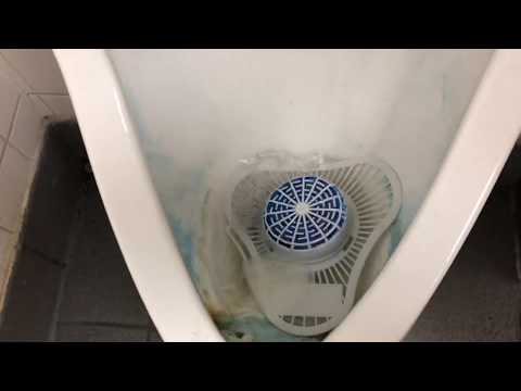 186 KFC Taco Bell Restroom Full Shoot 