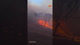 Sederet Rumah Selebriti Hollywood Yang Rumahnya Hangus Karena Kebakaran Di Pacific Palisades