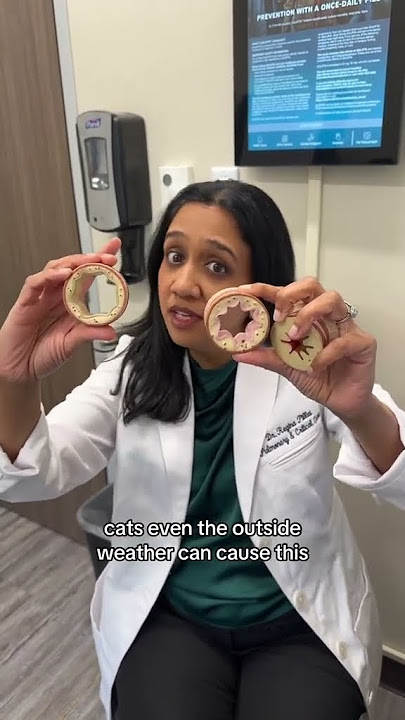 It’s not easy being wheezy 🫁 pulmonologist Dr. Pillai explains #asthma