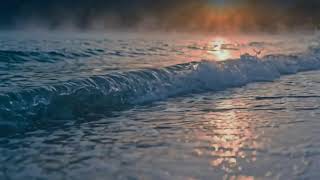 Lofi ASMR Ocean Wave Ambience - Soft Beach Sounds for Deep Sleep Study Focus and Calm