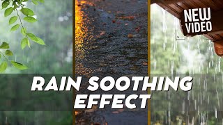 Mesmerizing Effects of Rain Nature | Royalty Free | No Claim Background Video