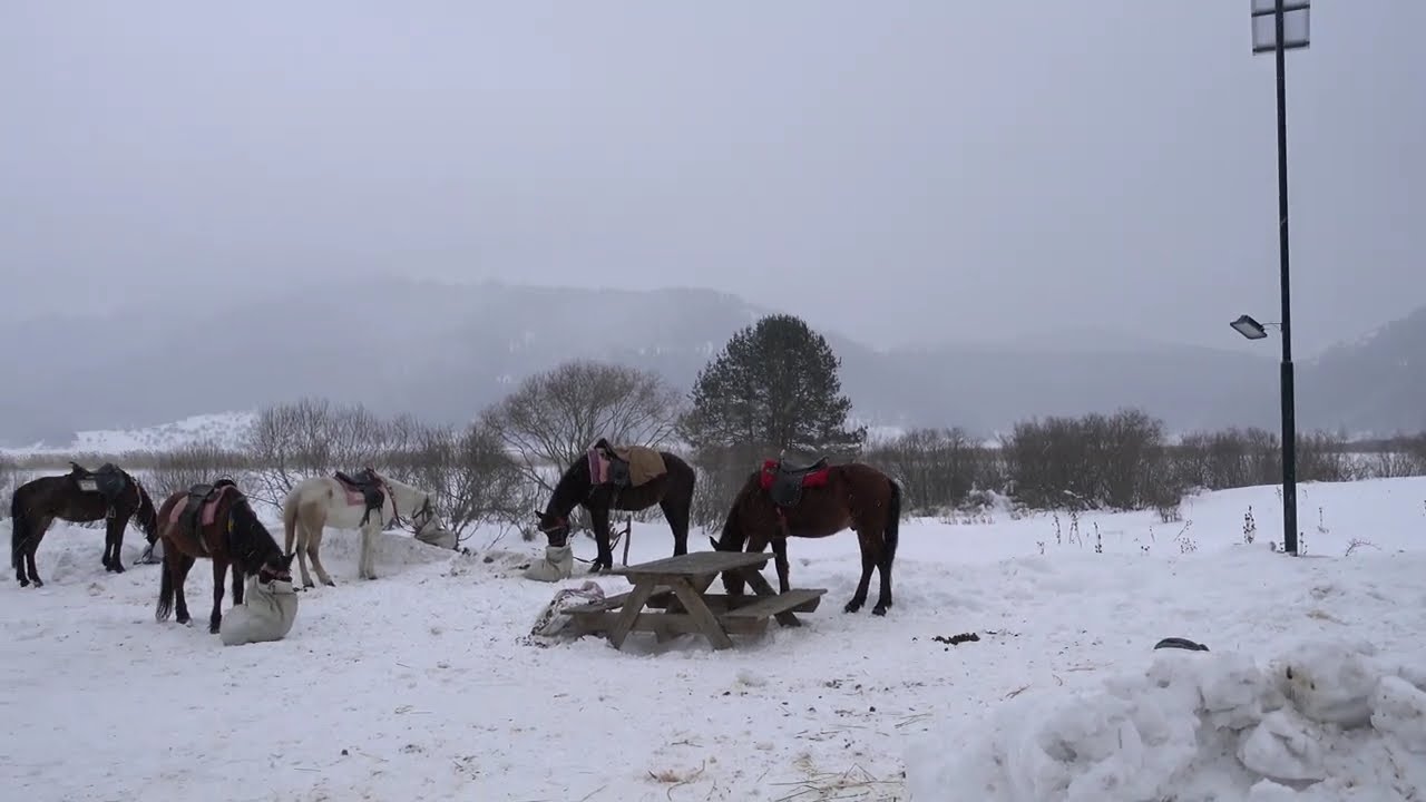 Прекрасное замерзшее озеро — Национальный парк — Потрясающие зимние виды