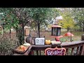 My Thursday Morning Bird &amp; Squirrel Livestream 4K