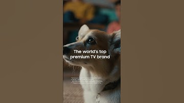 The No.1 TV brand for 19 years, all thanks to you | Samsung Nordics