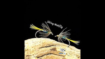 Tying a Shiny Wetfly - Tied by Matthias Dibiasi - DePunkt Fly