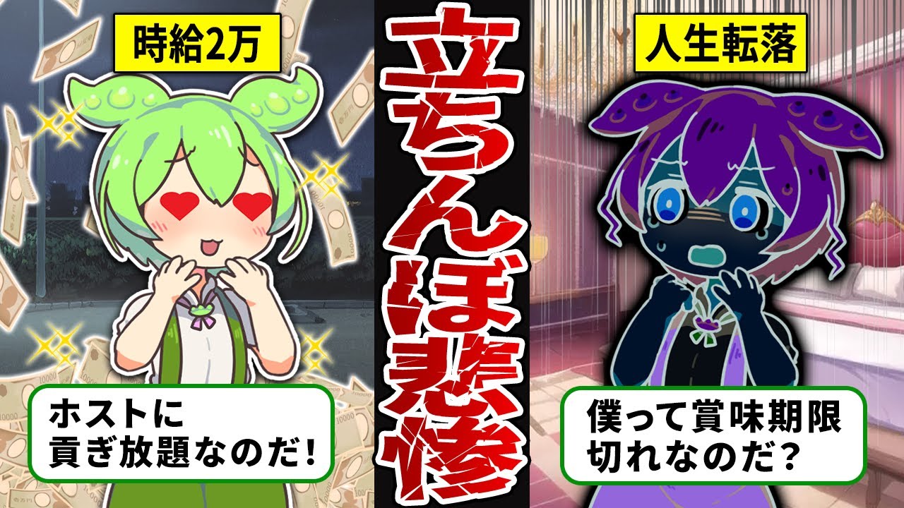 【もはや社会現象！？】お金のために立ちんぼをするずんだもんの末路【ずんだもん解説】