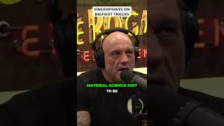 Fingerprints On Bigfoot Tracks