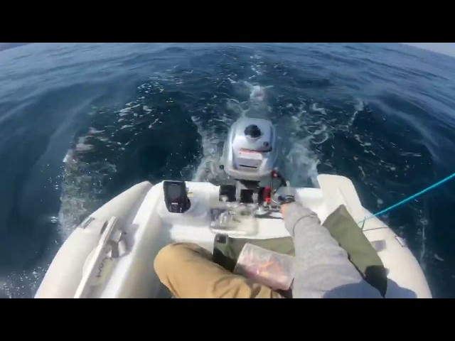 山陰 2馬力ミニボート進水式 魚は撃沈 MARIN piiyo familiar200P1 