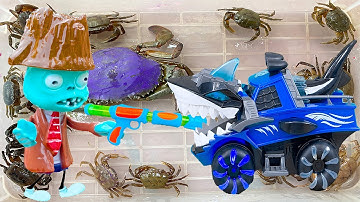 Kem Ốc chanel và xe đầu khủng long thần kì bắt quái vật Cá Mập, Zombie giải cứu cua, con mèo, con bò