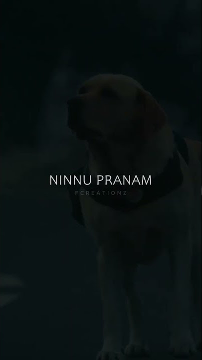 brathaka mantu song status//brathakamantu brathuku nichi brathakali whatsapp status
