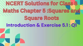 NCERT Class 8 Maths || Chapter 5 || Squares and Square Roots ||  Introduction || Ex. 5.1 || Q1