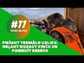 K pieaut termlo uzliku neaut nozagt vinu un pamedt bebru bloga 77 epizode