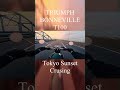 Triumph Bonneville T100 | Tokyo Sunset Cruising🌇 | POV #triumph #bonneville #ボンネビル #shorts