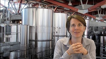 Yeast Bioreactor Lab Activity Intro Video