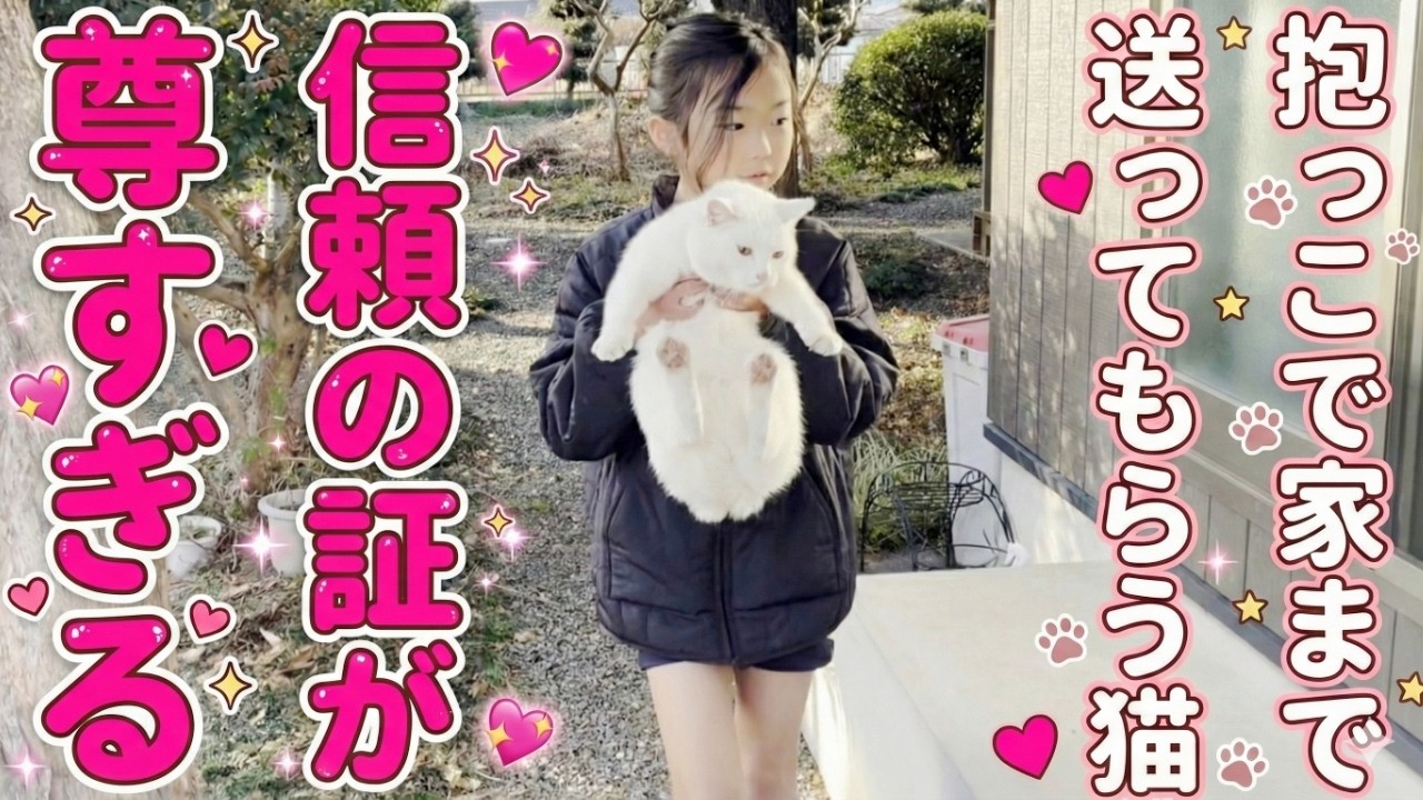 庭子猫が娘に抱っこされてお家まで送ってもらっていました…笑【三毛母猫の子猫】