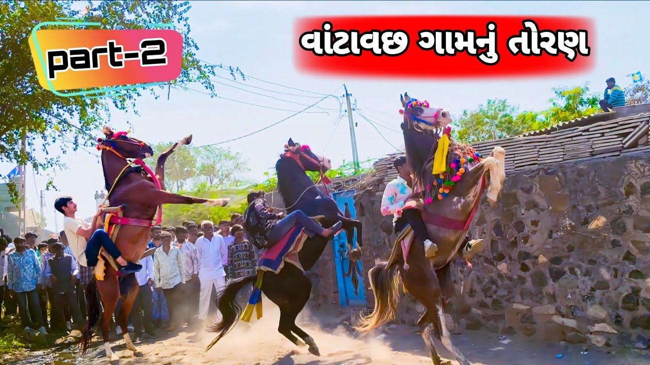 વાંટાવછ ગામનું તોરણ|TORAN|FULEKU|HORSE LOVERS|HORSE VIDEO|HORSE VLOG|HORSE LIFE|KATHIYWADI HORSE|
