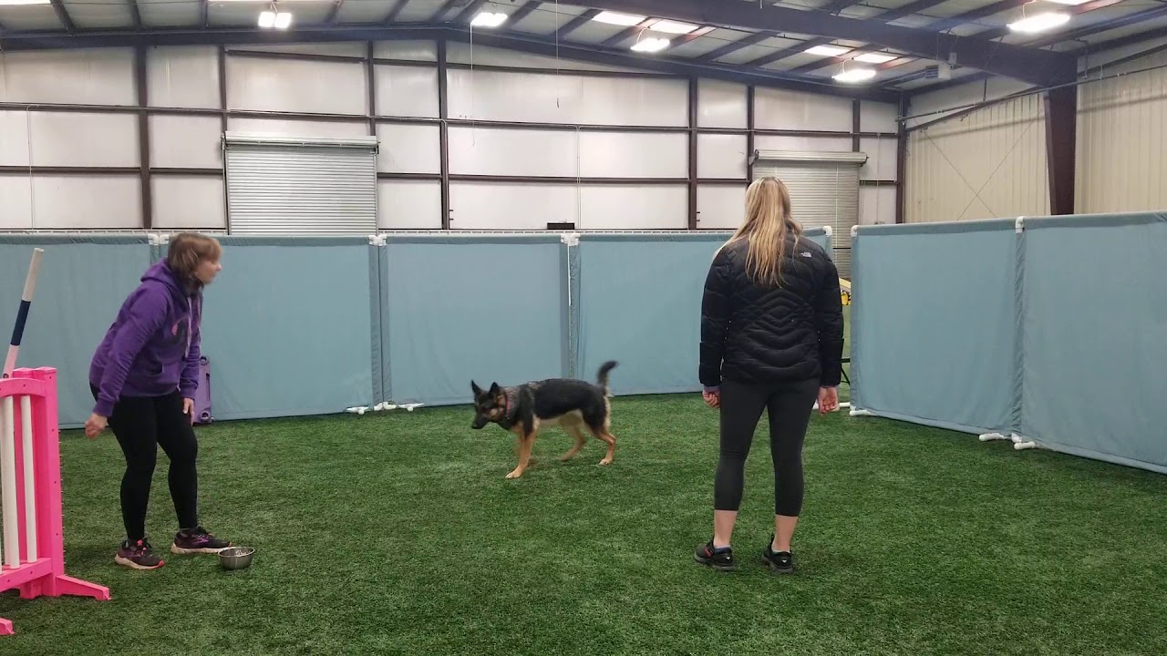 Sarah Stremming seminar - YouTube