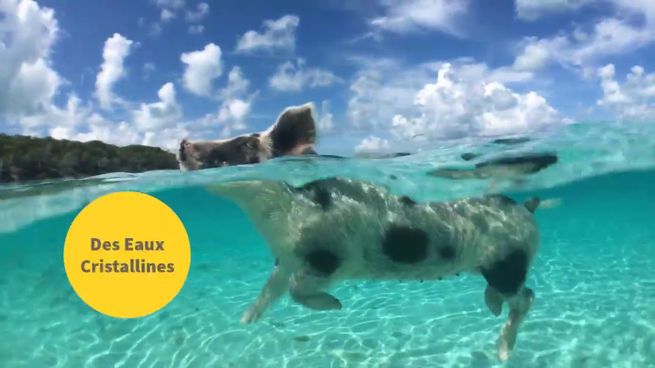 Portfolio Travel Video Realisee Pour Beforgo Envie D Evasion Youtube Portfolio Travel Video Realisee Pour Beforgo Envie D Evasion Youtube