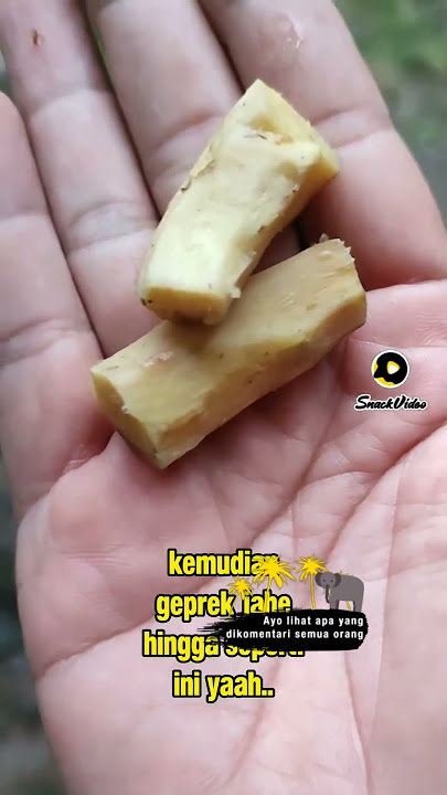 cara mengatasi masuk angin #informasi #khasiat #kesehatan #herbal #alami