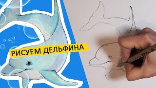 :   ,  