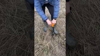 Потерял дар речи #metaldetecting #поискмонет #коп #металлоискатель #metaldetector #история #шурф