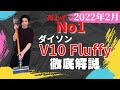 2022年2月売上げNo1の掃除機 ダイソンV10 Fluffy SV12 FF解説