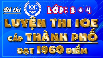 IOE lớp 3 cấp THÀNH PHỐ, ioe lớp 3 cấp TỈNH, có đáp án