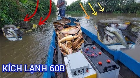 Test Thực Tế Kích Lạnh 60B Chuyên Đánh Cá Da Trơn Vẩy Miền Thả Cáp Thuyền