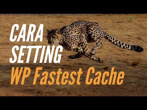 Cara Setting Plugin WP FASTEST CACHE di WordPress