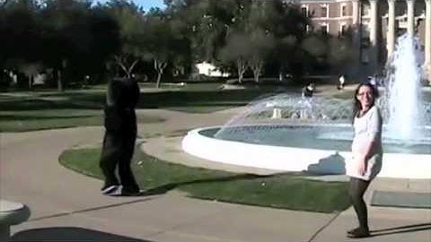 Rush SMU Sigma Lambda Gamma