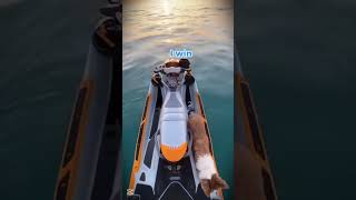 Breaking Barriers: The Road to Success