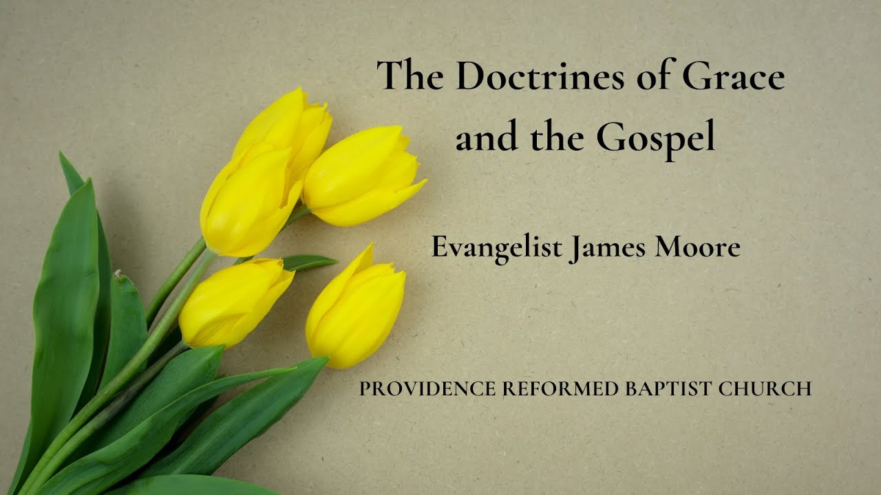PRBC 10/29/23 - Particular Redemption and the Reformation - John 10:15 ...