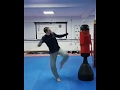 Taekwondo kicking sampler
