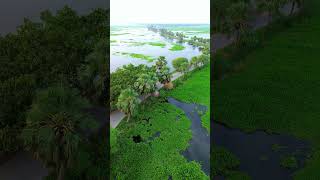 Beautiful Drone Video #shorts #nature #funny