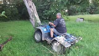My 300 kingquad bulldozed a tree!