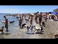 Domingo de Playa Canina. Santa Pola.