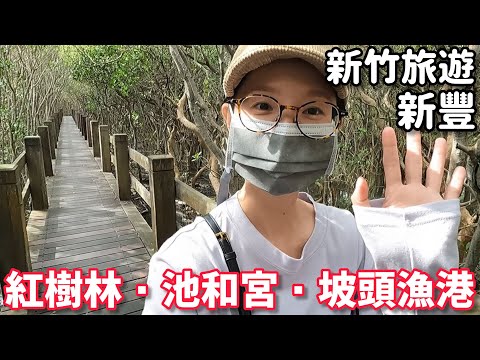 【旅遊Vlog】新豐紅樹林生態保護區 | 坡頭漁港 | 濱海遊憩區 | 池和宮、咖啡車、各式小吃攤，療癒的看海時光