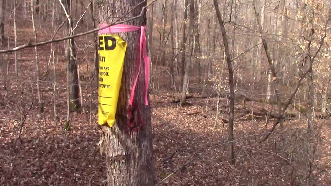 How they marked my property line. YouTube