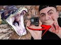 PUTTING A GoPro ON MY DARK WEB SNAKE FOR 24 HOURS STRAIGHT!! (SCARY!) *SNAKE BIT ME!*