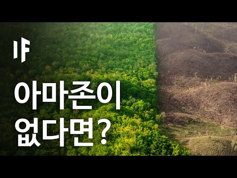 만약에 아마존이 사라진다면? | 만약에 What If Korea
