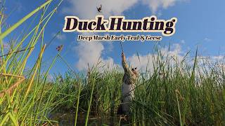 Duck Hunting Michigan Marsh Early Teal & Geese